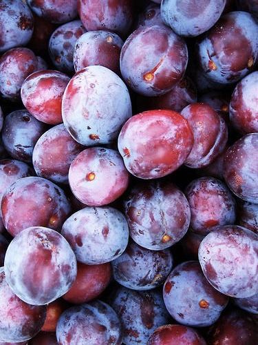 Plum Kernel Oil
