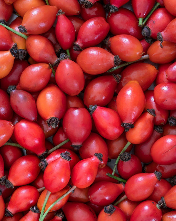 Rosehip Seed Oil