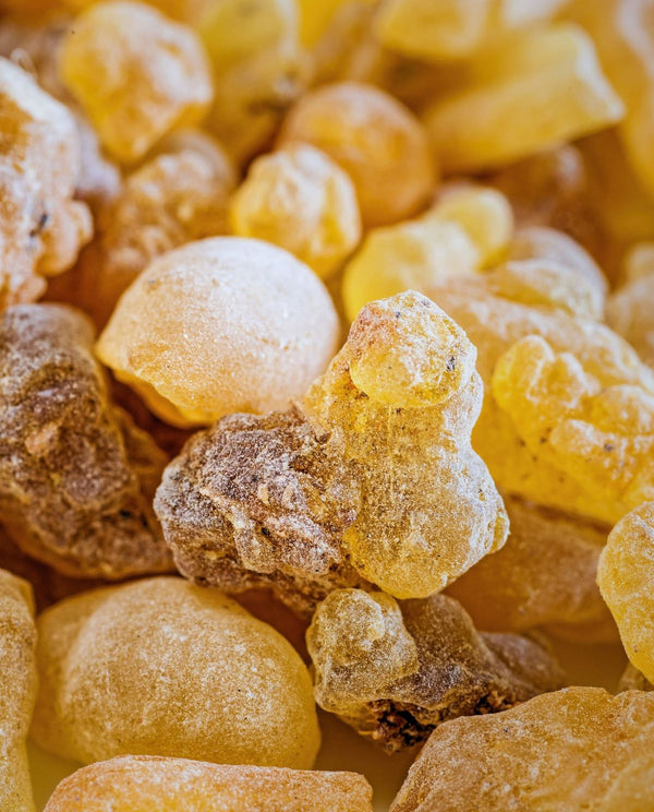 Frankincense Essential Oil