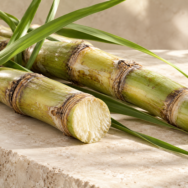 Squalane (Sugarcane-Derived)