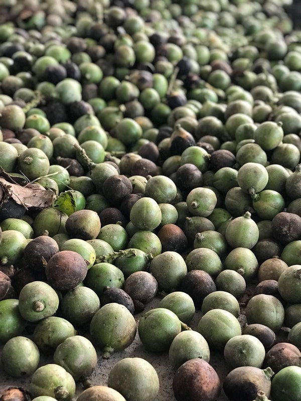 Cacay Oil
